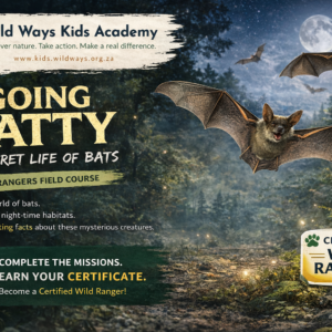 Going Batty: Wild Ranger Course