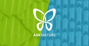 Ask Nature: An Interactive Platform to Introduce Biomimicry