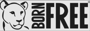 Born Free Teaching Resources