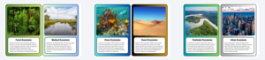Eco-Systems Flash Cards