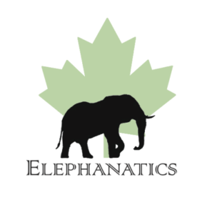 Bring Elephant Conservation into your Classroom