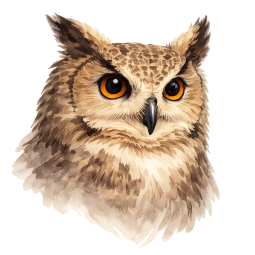 Wild Ways Kids Academy
